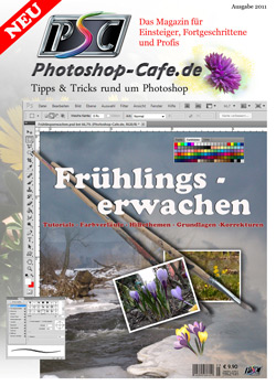 http://www.photoshop-cafe.de/contest/Covercontest011/15s.jpg