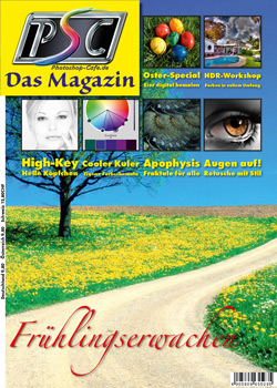 http://www.photoshop-cafe.de/contest/Covercontest011/19s.jpg