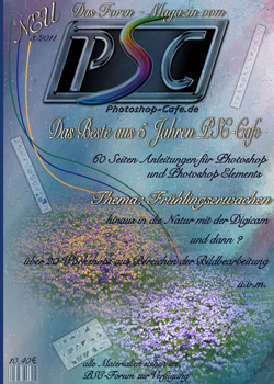 http://www.photoshop-cafe.de/contest/Covercontest011/22s.jpg