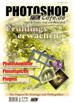 http://www.photoshop-cafe.de/contest/Covercontest011/9s.jpg