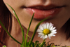 http://www.photoshop-cafe.de/team/Contest/FotoContest4/mini/Bild17.jpg