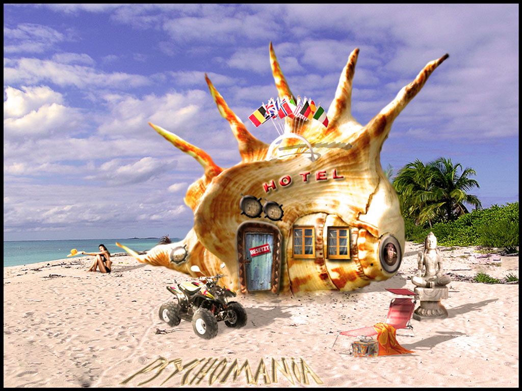 http://www.photoshop-cafe.de/werke_galerie/muschelhotelip2.jpg