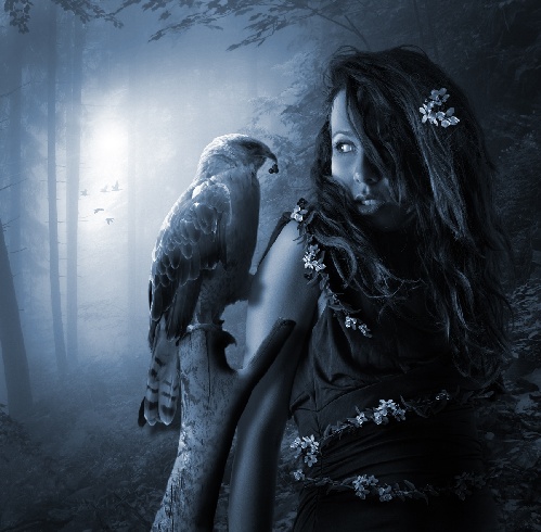 https://www.photoshop-cafe.de/bildupload/pics/mw/thumb/1290033268_Viola21200.jpg