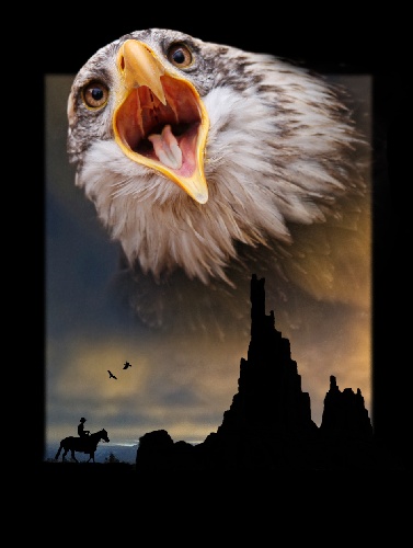 https://www.photoshop-cafe.de/bildupload/pics/mw/thumb/1295173887_Eagle.jpg