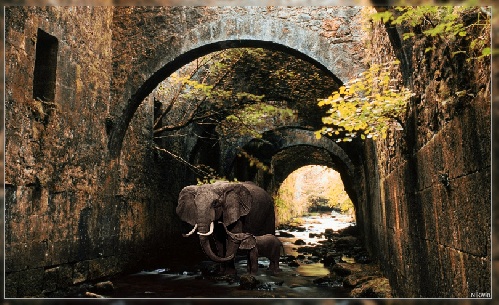 https://www.photoshop-cafe.de/bildupload/pics/mw/thumb/1296368472_verlaufen.jpg