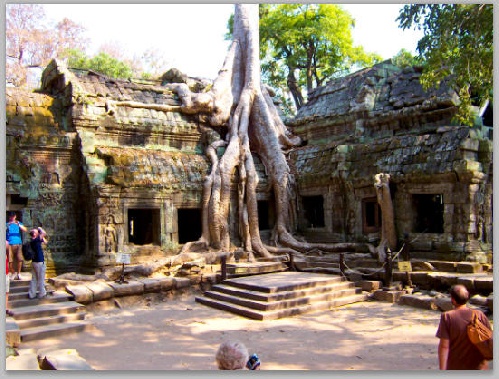 https://www.photoshop-cafe.de/bildupload/pics/mw/thumb/1298827648_Baumwurzel_Thailand.jpg