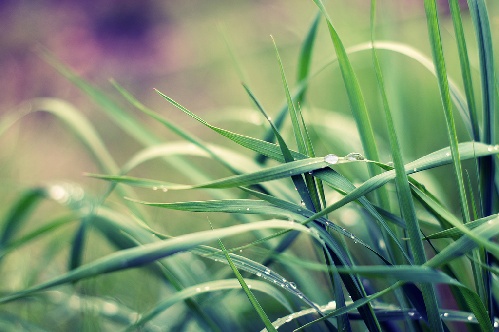 https://www.photoshop-cafe.de/bildupload/pics/mw/thumb/1307461459_Waterdrops.jpg