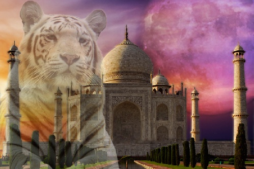 https://www.photoshop-cafe.de/bildupload/pics/mw/thumb/1330870861_taj_mahal_-_white_tiger_2012-03-04.jpg