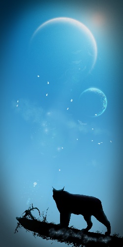 https://www.photoshop-cafe.de/bildupload/pics/mw/thumb/1358370718_yt.jpg