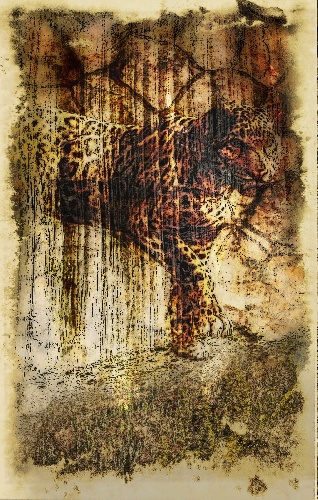 https://www.photoshop-cafe.de/bildupload/pics/mw/thumb/1401001806_Jaguar.jpg