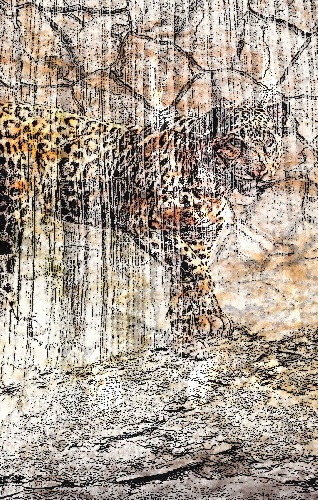 https://www.photoshop-cafe.de/bildupload/pics/mw/thumb/1401001806_Jaguar_Zw_1.jpg