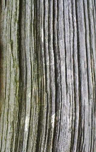 https://www.photoshop-cafe.de/bildupload/pics/mw/thumb/1401001806_Textur_1.jpg