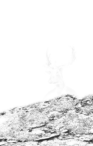 https://www.photoshop-cafe.de/bildupload/pics/mw/thumb/1401001806_Textur_2.jpg
