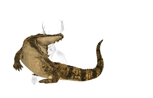 https://www.photoshop-cafe.de/bildupload/pics/mw/thumb/1401265575_Alligator.jpg
