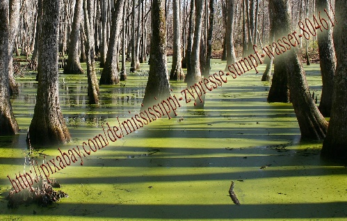 https://www.photoshop-cafe.de/bildupload/pics/mw/thumb/1401265575_Pixabay_1_Link.jpg