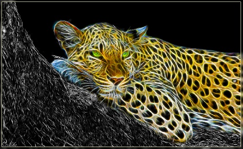 https://www.photoshop-cafe.de/bildupload/pics/mw/thumb/1418440252_leopard.jpg