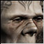 Krieger