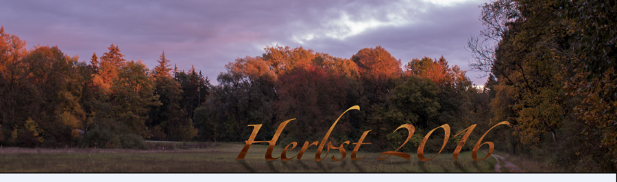 Herbst2016