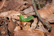 Abstimmung zum 4. Fotocontest